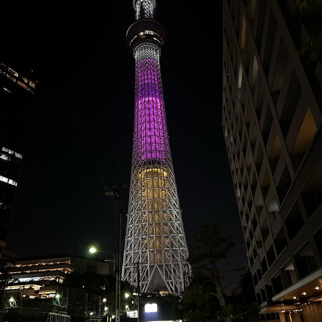 初訪東京晴空塔，迪士尼100週年！不去迪士尼也要來朝聖