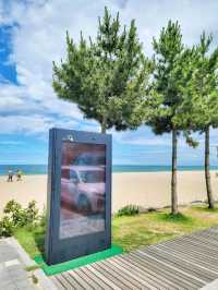 양양 여름여행 코스로 빠질수 없는 낙산비치🏖