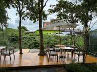 • TREE TIME Cafe &Garden ☕️✨