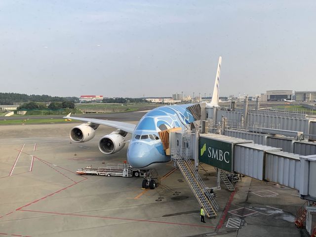 ベトナム　ベトナム観光　搭乗前に成田国際空港ANAラウンジでお腹いっぱい食べる！