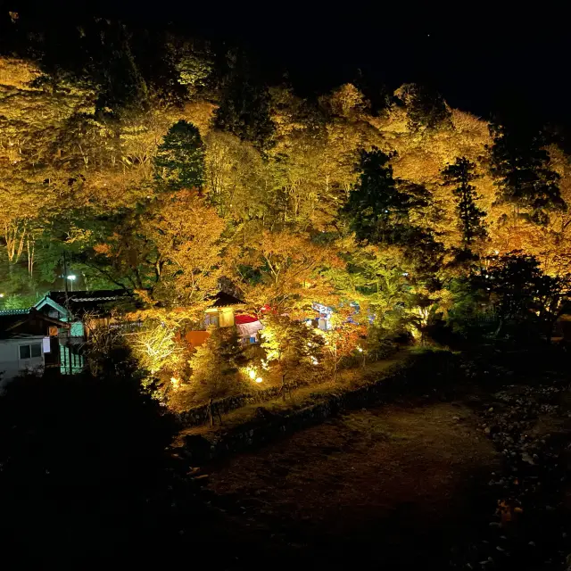 夜の香嵐渓（愛知県豊田市）