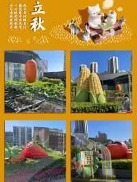 【葵芳新都會廣場的都市農莊❤️🍂🌱】