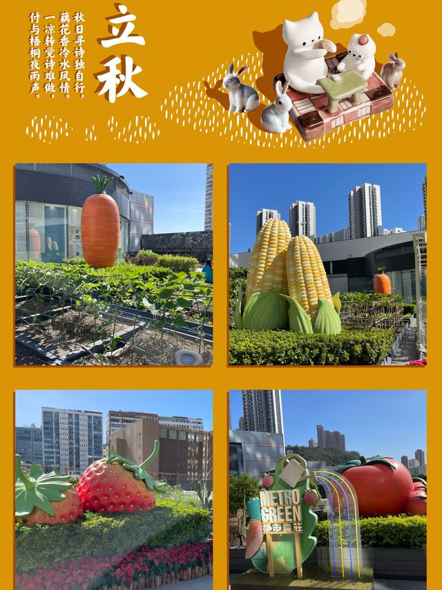 【葵芳新都會廣場的都市農莊❤️🍂🌱】