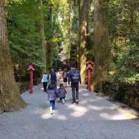 Must Visit Hakone Shrine