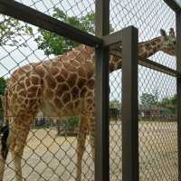 1903年開業の歴史ある動物園
