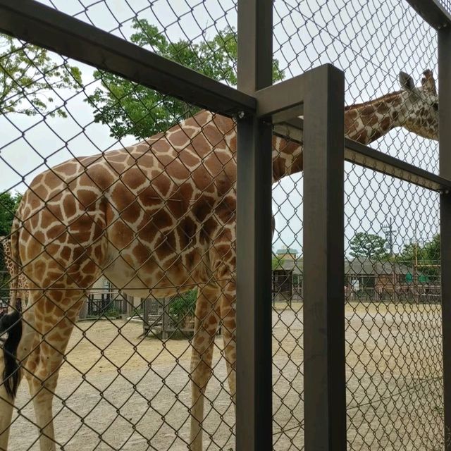 1903年開業の歴史ある動物園