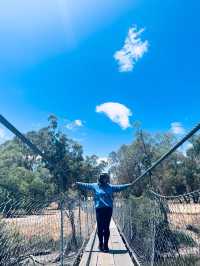 Suspension Bridge || Swing Birdge, York, WA📸