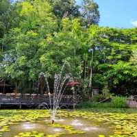 ลำปางริเวอร์ลอดจ์