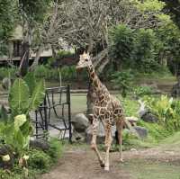 Great Safari park with lot of wildlife 