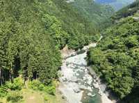 四國景點！日本三大秘景之一，大步危，大步踏過祖谷藤蔓橋🌉