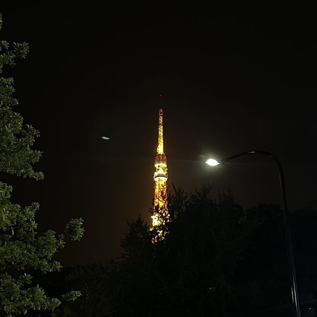 숨은 도쿄타워 관람 명소🗼