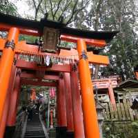 京都 - 千本鳥居