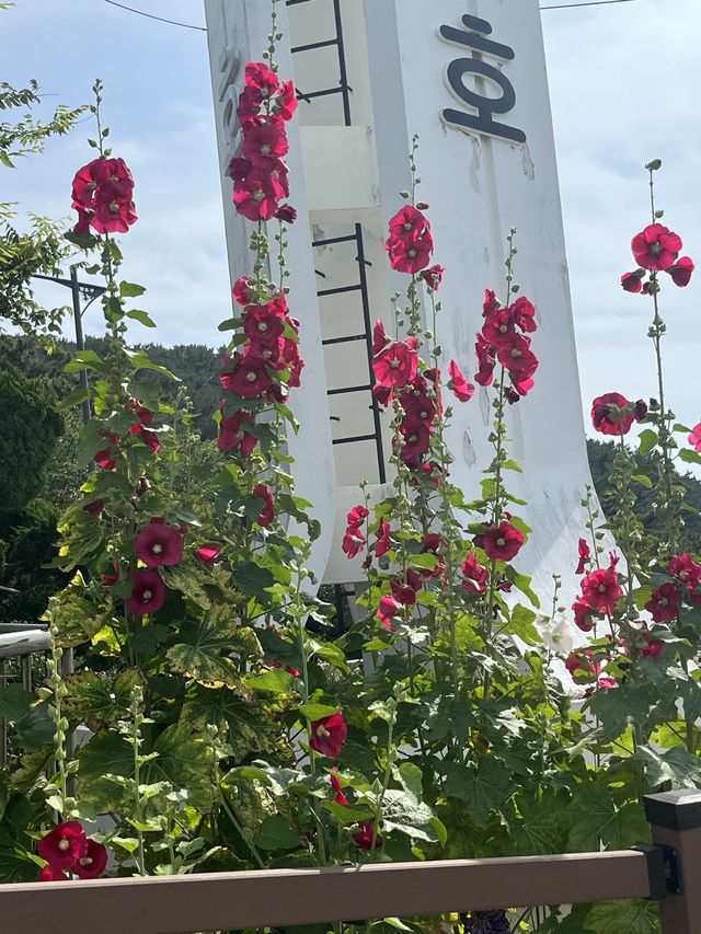 부산 산책하기 좋은 곳