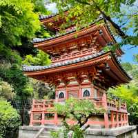 【京都】花の御寺「三室戸寺」