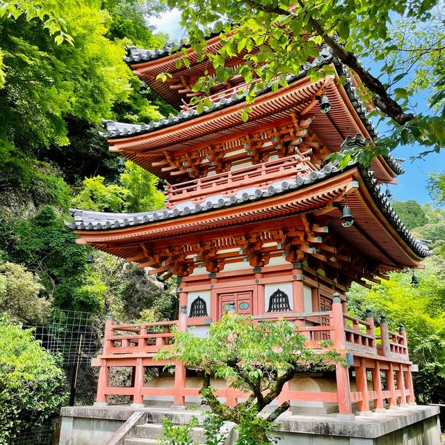  【京都】花の御寺「三室戸寺」