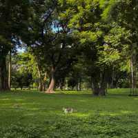 Lumphini Park