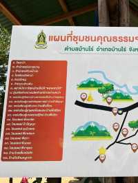 ต้นไม้ยักษ์เก่าแก่ ในจังหวัดอุทัยธานี