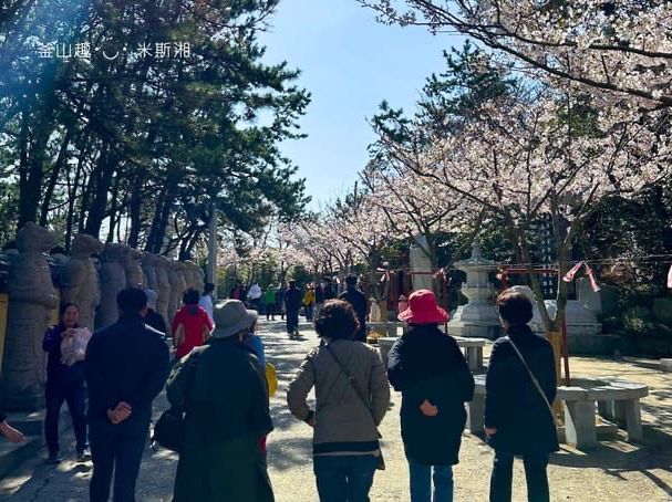 🇰🇷韓國｜釜山➰天然唯一海岸邊《海東龍宮寺》寧靜的心靈之旅