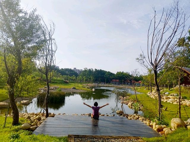 桃園景點_大湳森林公園