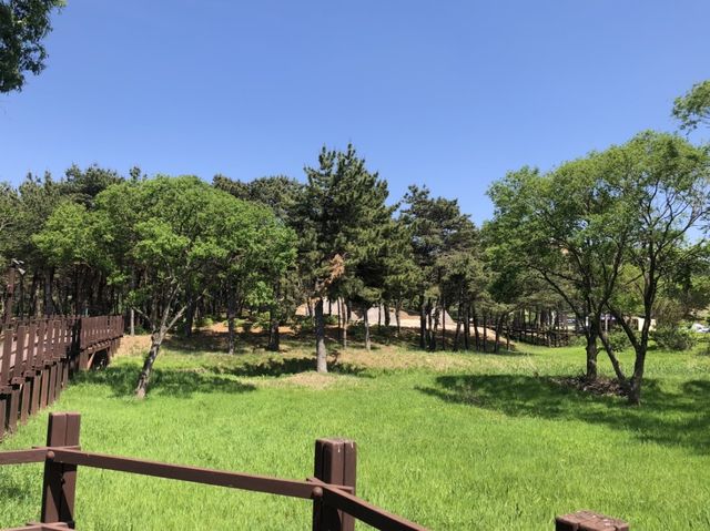 아이와 함께 걷고 체험해보기 좋은 양양 선사유적박물관