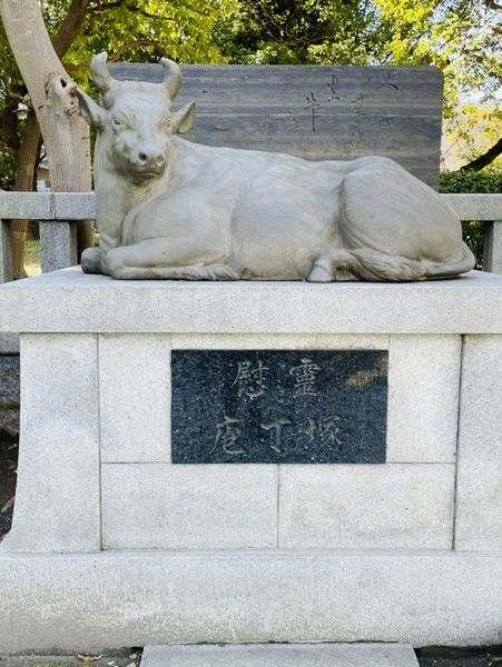【東京都/牛嶋神社】全国で珍しい三輪鳥居がある神社