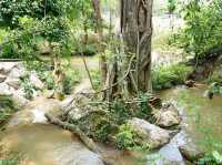 Assana Cafe Khaoyai 