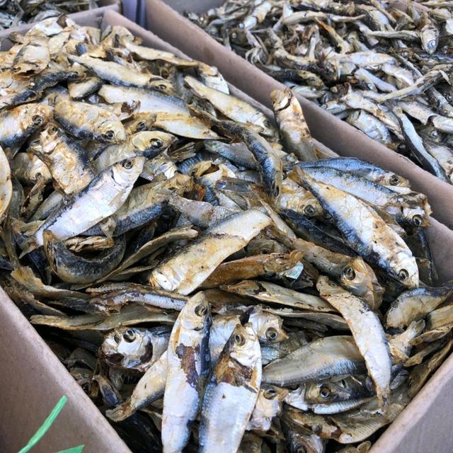 釜山 札嘎其市場吃海鮮🦞🦐🐙還有乾貨海味 