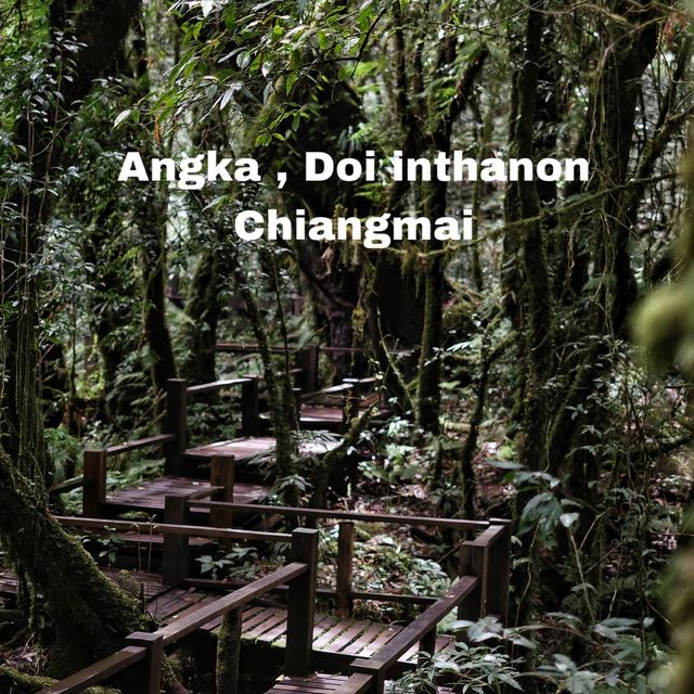 เส้นทางศึกษาธรรมชาติอ่างกา จ.เชียงใหม่ 🌿