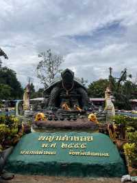 พญาเต่างอย