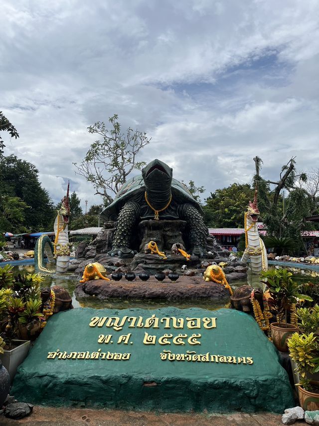 พญาเต่างอย
