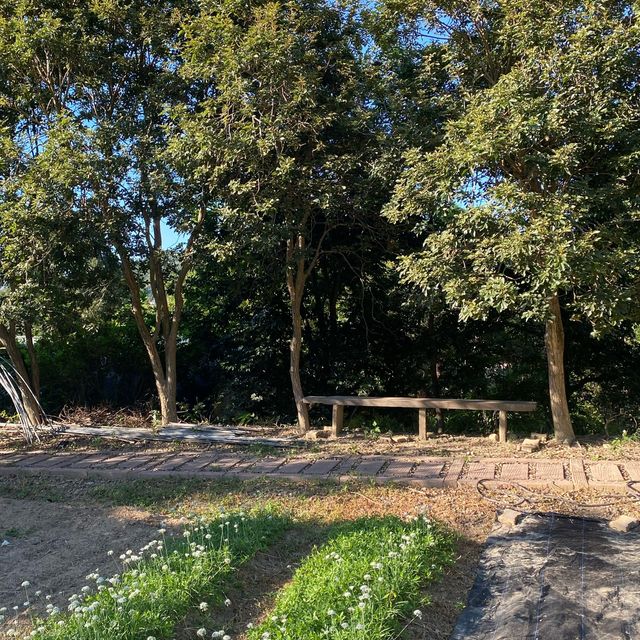 廣源記圳步道🐕