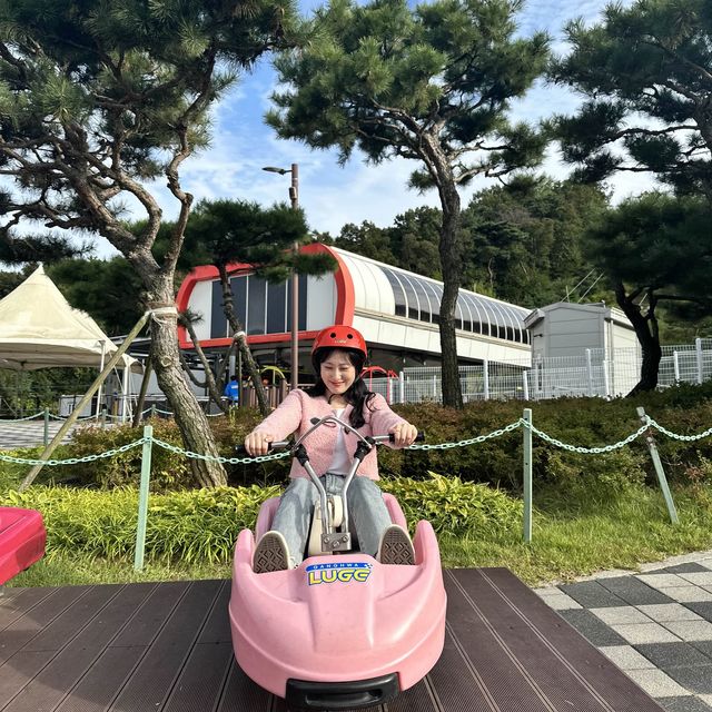국내 최장거리, 서해안의 예쁜 뷰를 보며 탈 수 있는 루지 [강화 루지]