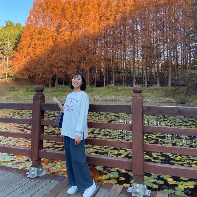 대통령 별장에서 가을 산책🤎 청주 청남대