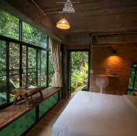 Bee forest บ้านแม่ลาย เชียงใหม่