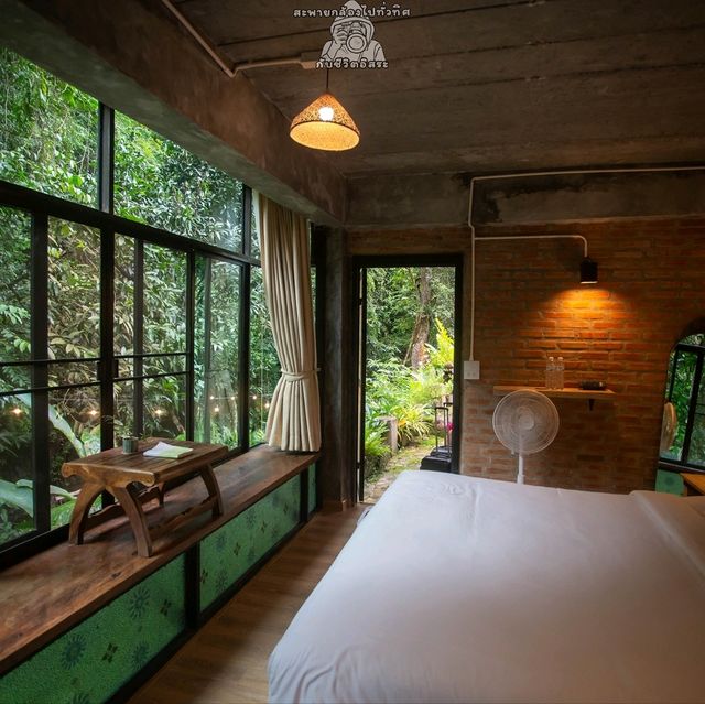 Bee forest บ้านแม่ลาย เชียงใหม่
