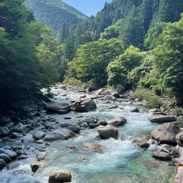 🌳🦋 清溪森林公園～與大自然共舞！🌿🏞️🌼