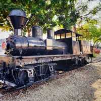 Alishan Forest Railway Garage Park