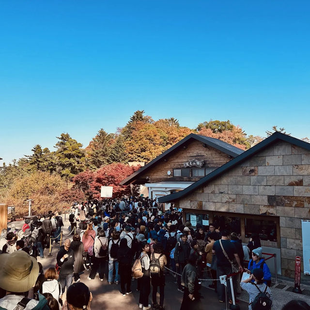 東京紅葉實況