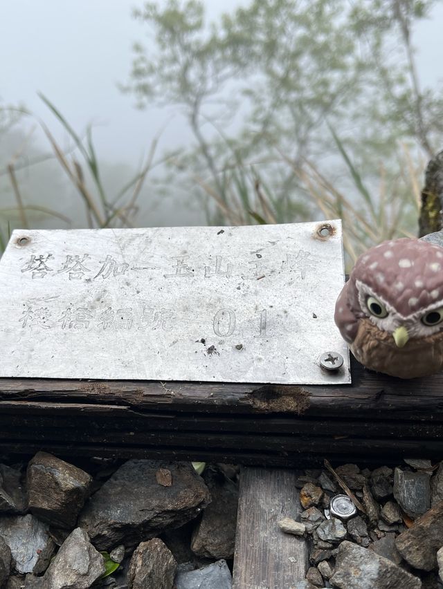 🏔️ 台灣最高峰玉山 3952 公尺🚩台灣百岳挑戰成功！