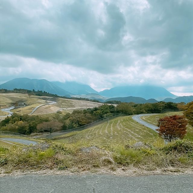 九州 ｜自駕遊亞洲版Safari 🐅🐆🦓🐘🦬🐫🐑