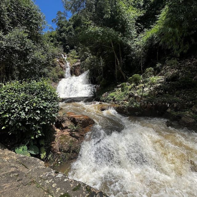 Waterfall with alpine coaster