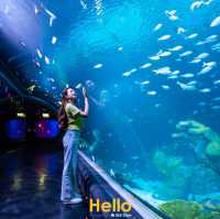 AQUARIA PHUKET 