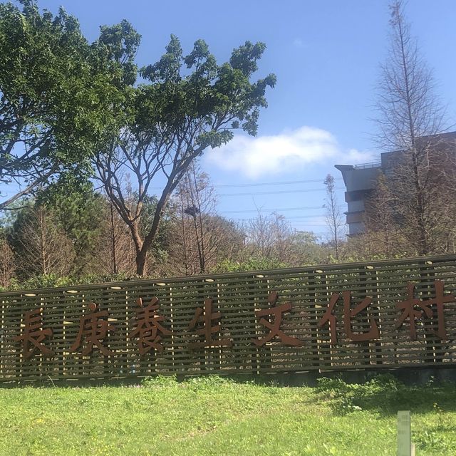 長庚養生文化村（有隱藏版櫻花木棧道八重櫻）