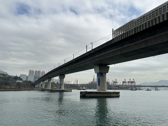 本地遊 | 坐港鐵遊香港 | 青衣站 | 兩個繡球花打卡熱點