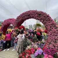 春日限定，花迷值得一去～維多利亞公園花卉展🌸