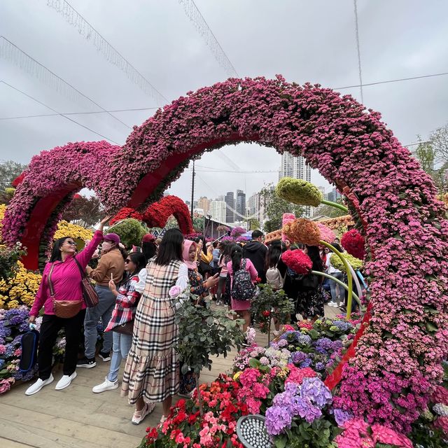 春日限定，花迷值得一去～維多利亞公園花卉展🌸