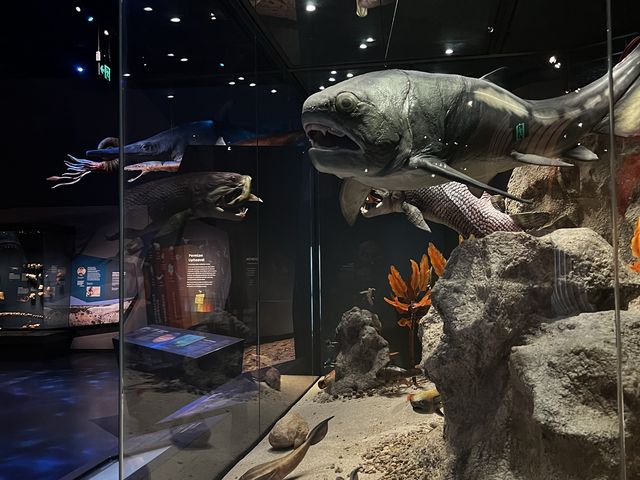 My Ancestors' 🤩🥰 Museum of my vibe🫢😝