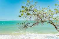 หาดวงศ์อมาตย์ นาเกลือซ.18 หาดที่เคยลับ
