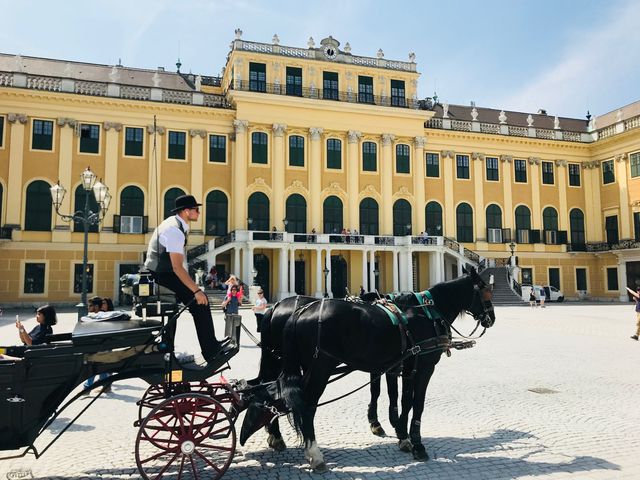 維也納的美泉宮Schoenbrunn Palace 