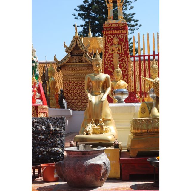 วัดพระธาตุดอยสุเทพราชวรวิหาร 🛕